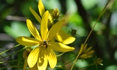 Enlarge photo 82