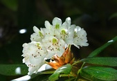 Enlarge photo 84