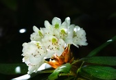 Enlarge photo 80
