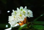 Enlarge photo 79