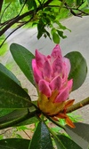 Enlarge photo 29