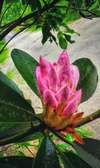 Enlarge photo 30