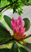 Enlarge photo 31