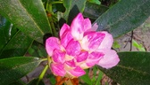 Enlarge photo 35