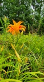 Enlarge photo 45