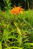 Enlarge photo 44