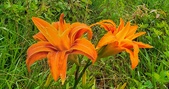 Enlarge photo 42
