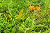 Enlarge photo 46