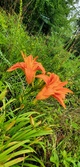 Enlarge photo 48