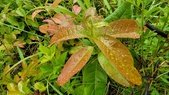 Enlarge photo 49
