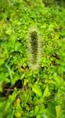 Enlarge photo 55