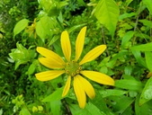 Enlarge photo 56