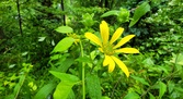 Enlarge photo 58