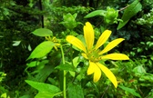 Enlarge photo 59