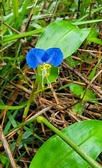 Enlarge photo 63
