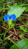 Enlarge photo 64
