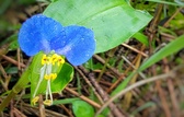 Enlarge photo 66