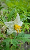 Enlarge photo 75