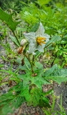 Enlarge photo 76