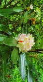 Enlarge photo 36