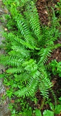 Enlarge photo 82