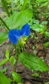 Enlarge photo 69