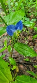 Enlarge photo 70