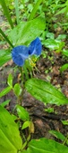 Enlarge photo 71