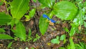 Enlarge photo 72