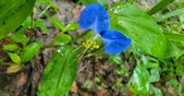 Enlarge photo 73