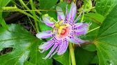 Enlarge photo 89