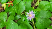 Enlarge photo 90