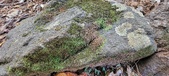 Enlarge photo 45