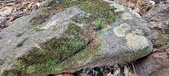 Enlarge photo 44