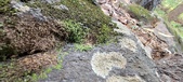 Enlarge photo 46