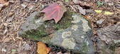 Enlarge photo 47