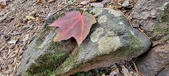 Enlarge photo 48