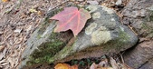 Enlarge photo 49