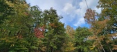 Enlarge photo 50