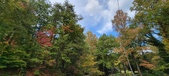 Enlarge photo 51
