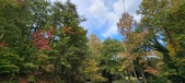 Enlarge photo 52