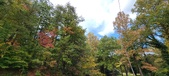 Enlarge photo 54