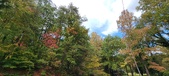 Enlarge photo 53