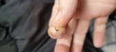 Enlarge photo 57