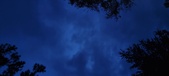 Enlarge photo 58