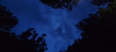 Enlarge photo 59