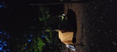 Enlarge photo 62
