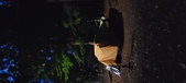 Enlarge photo 63