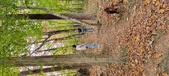 Enlarge photo 68