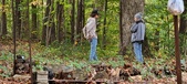 Enlarge photo 74